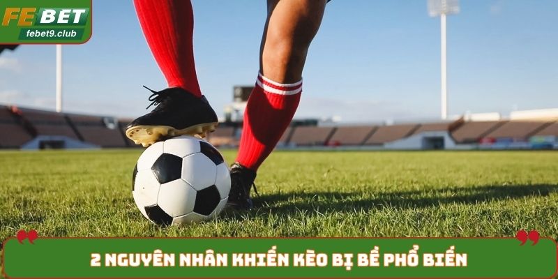 2 nguyên nhân khiến kèo bị bề phổ biến