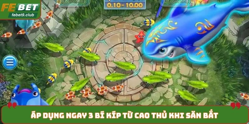 Áp dụng ngay 3 bí kíp từ cao thủ khi săn bắt