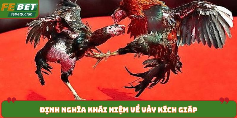Định nghĩa khái niệm về vảy kích giáp