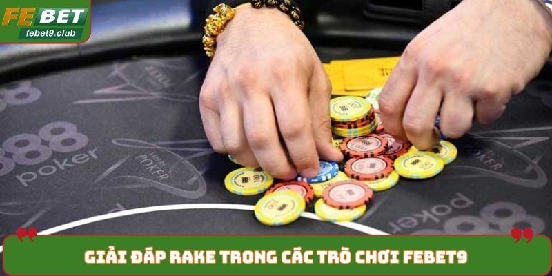Thắc mắc Rake là gì được giải đáp trong các trò chơi FEBET