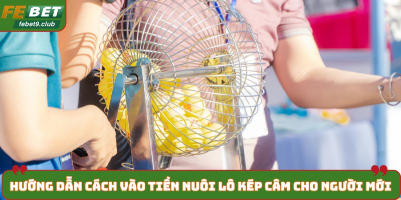 Hướng dẫn cách vào tiền nuôi lô kép câm cho người mới