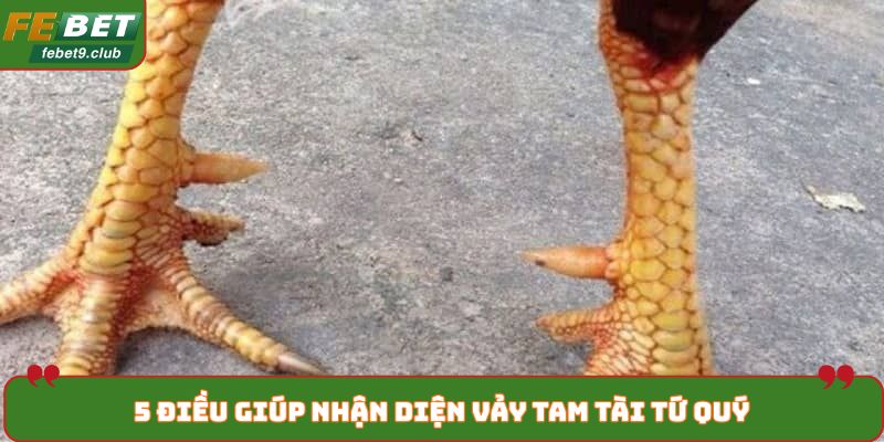 Vảy tam tài tứ quý có lợi ích cao