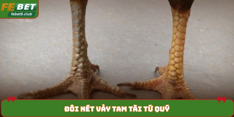 Đôi nét vảy tam tài tứ quý