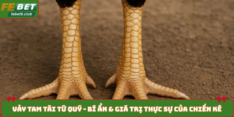 vảy tam tài tứ quý